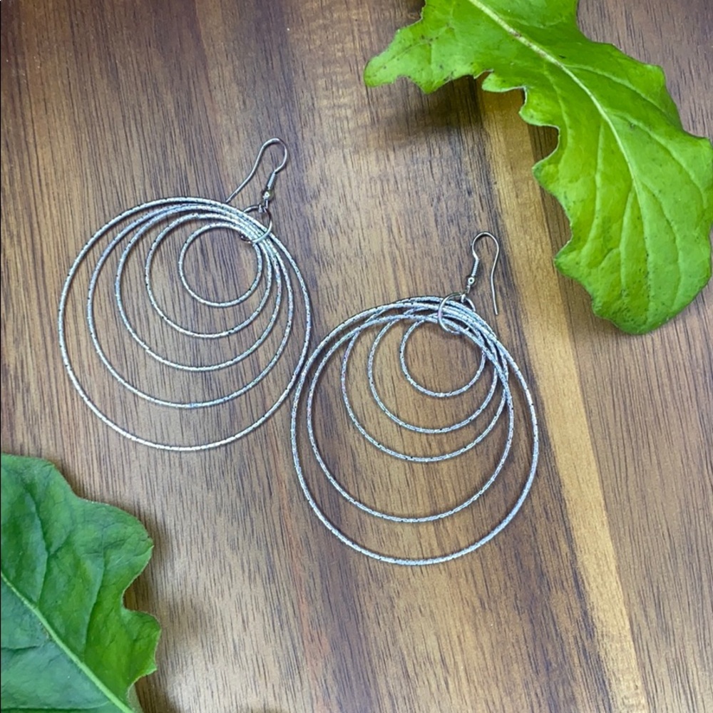 Hooped Dangled Earrings